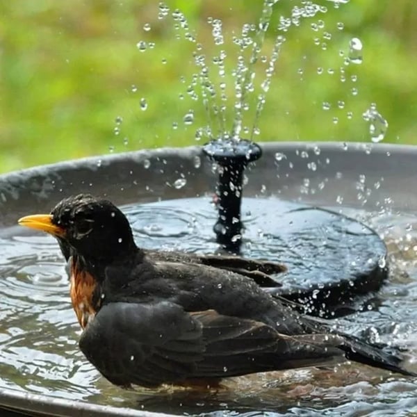 🔥Hot Sale 49% OFF🎁☀️Solar Bird Bath Fountain - Eco-Friendly Floating Water Pump for Garden & Pond