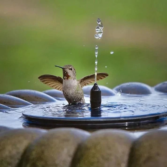 🔥Hot Sale 49% OFF🎁☀️Solar Bird Bath Fountain - Eco-Friendly Floating Water Pump for Garden & Pond